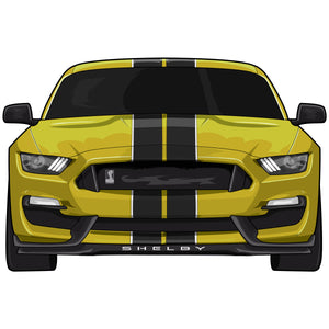 Mustang GT350 Stickers