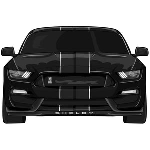 Mustang GT350 Stickers