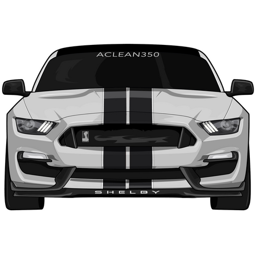 “ACLEAN350” Gray Mustang GT350