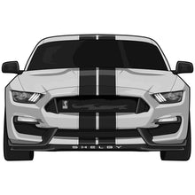 Load image into Gallery viewer, Mustang GT350 Stickers