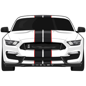 Mustang GT350 Stickers