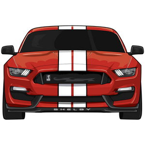 Mustang GT350 Stickers