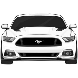 2015-2017 Mustang 5.0 Stickers