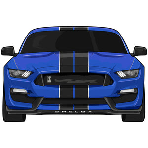 Mustang GT350 Stickers